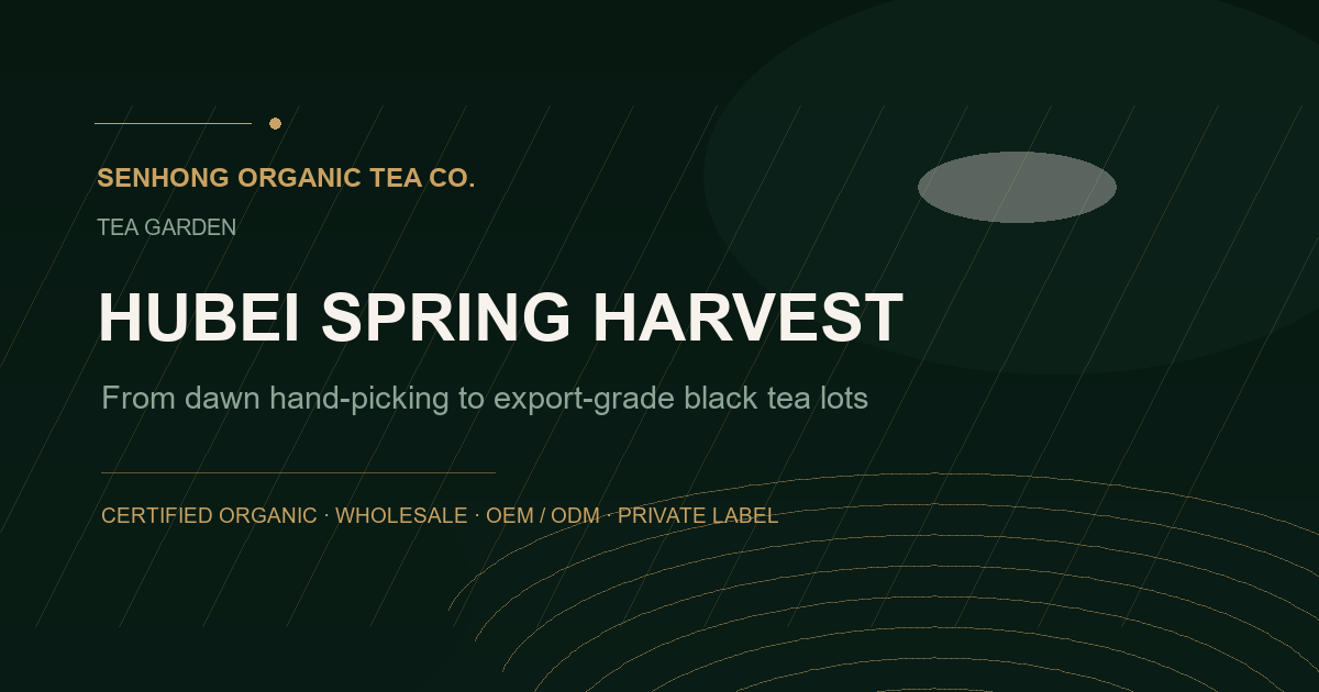 Spring Harvest 2026: A Week Inside Senhong’s Hubei High-Altitude Gardens