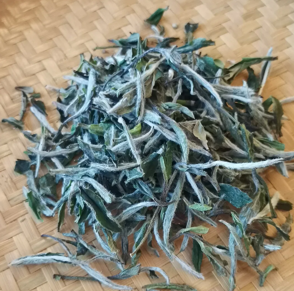有机白茶